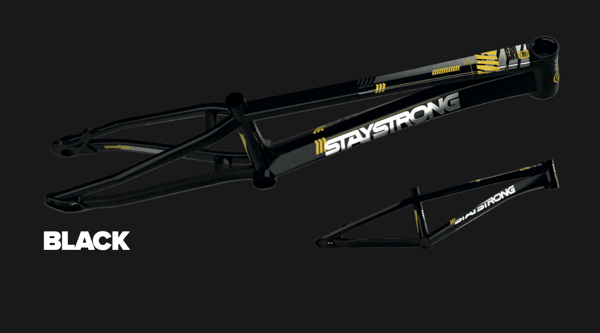STAYSTRONG V4 RAMME DISC 2023 Pre-Order